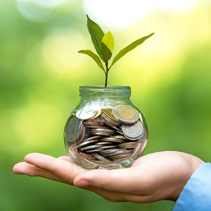 aflossen investeren of beleggen