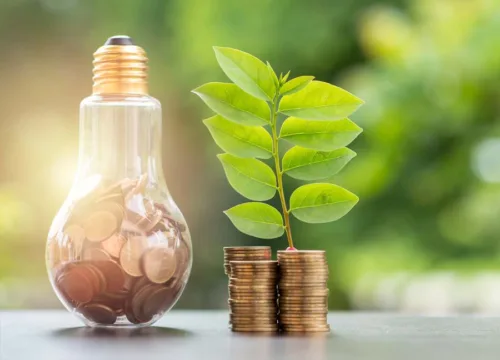 Waarom duurzaamheid + persoonlijke financiën een goede combinatie is