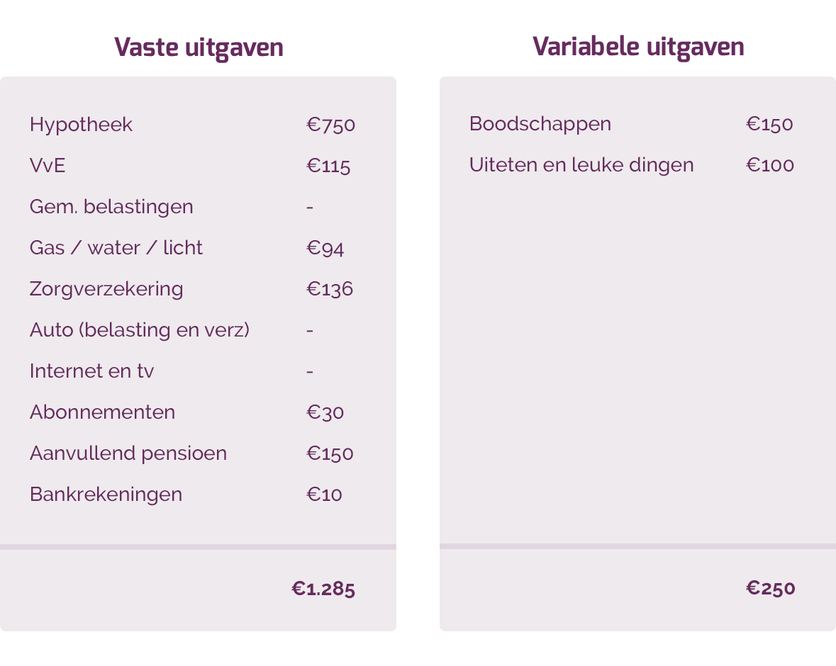 overzicht van uitgaven vast en variabel