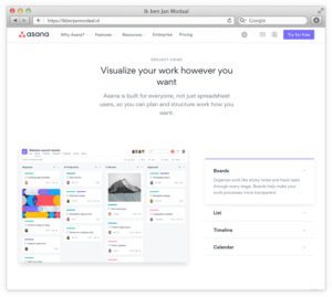 asana project management jan modaal