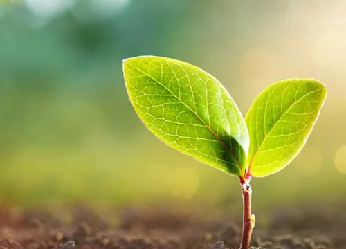Duurzaam én goedkoper 🌱 Geld besparen door het gebruik van duurzame producten