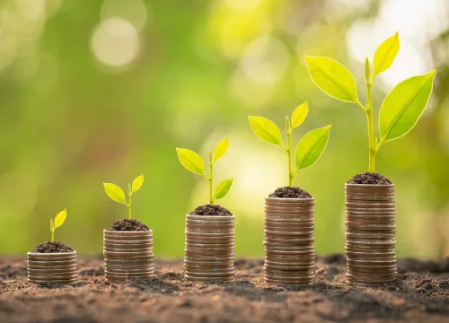 Alternatieve manieren om te beleggen: Diversificatie