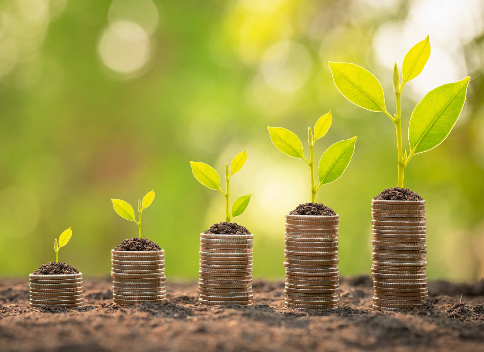 investeren en beleggen diversificatie