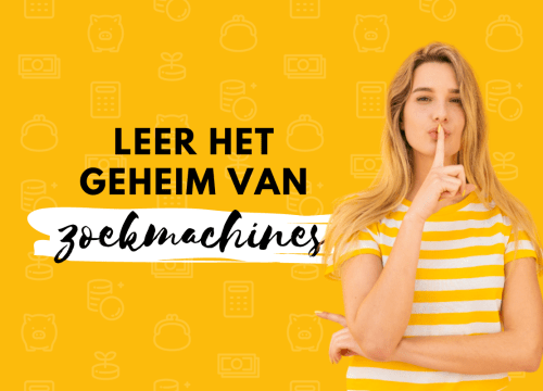 Maak van jouw website een echte knaller, door hoog te scoren in Google en andere zoekmachines.