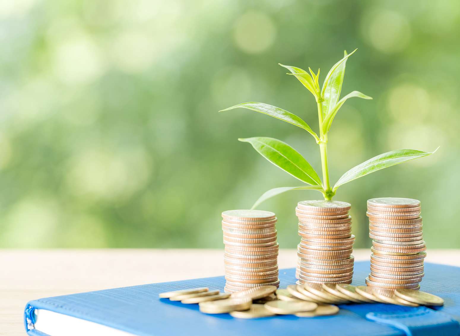 geld investeren bij crowdfunding platformen