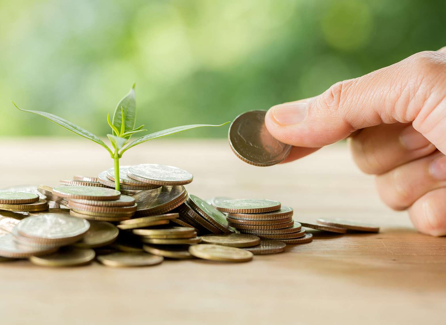 geld investeren bij lendahand