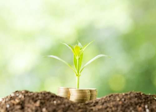 Investeren via crowdfunding? Dit is mijn eerlijke ervaring