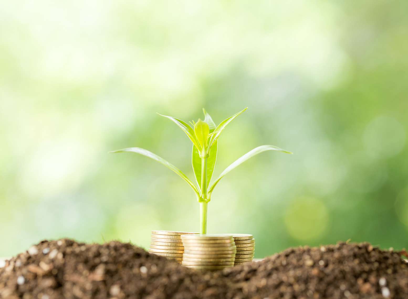 ervaring met investeren via crowdfunding